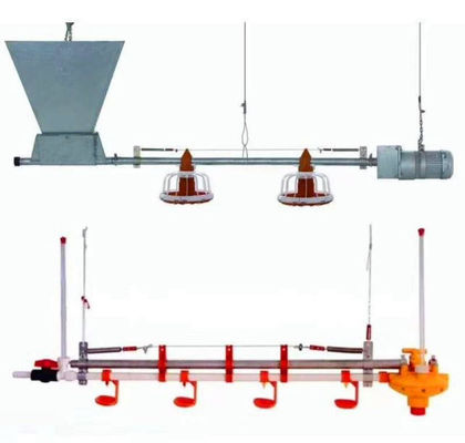 Full Automatic Chicken Feeding Line 14/16 Partitions 450kg/H