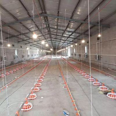16 Grid Automatic Poultry Feeder 45-60 Chicken Feed Pan Δυνατότητα