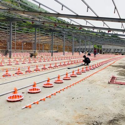 4 Pan/3m Εξοπλισμός Πτηνοτροφείου 380v Αυτόματο Σύστημα Σίτισης