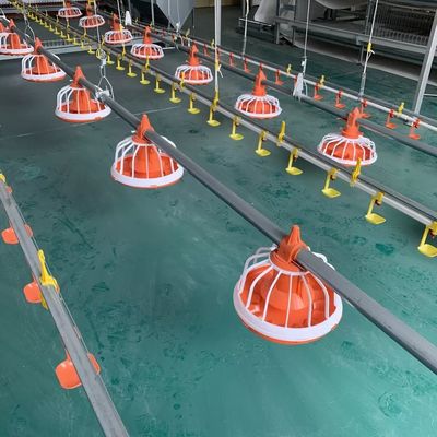 EO Feeding Poultry Farm Equipment Automatic Feeding System For Poultry Εγγύηση 1 έτους
