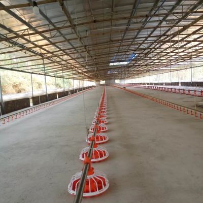 Γραμμή τροφοδοσίας εξοπλισμού πτηνοτροφικής φάρμας 14 Grid 16 Grid για κοτόπουλο