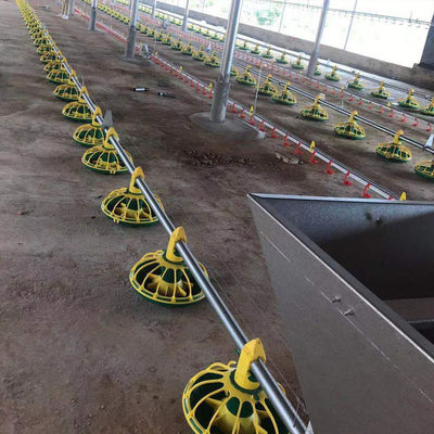 Full Automatic Chicken Feeding Line 14/16 Partitions 450kg/H
