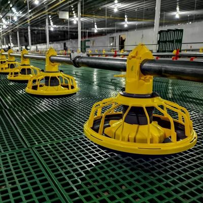 Ρυθμιζόμενο σύστημα τροφοδοσίας κρεατοπαραγωγής θηλής Hot gavanized Hopper