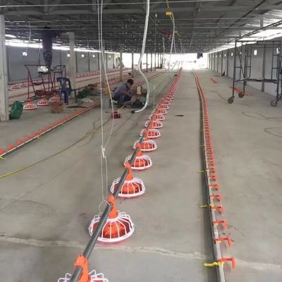 14 γρίλιες Εξοπλισμός εκτροφής για κρεατοπαραγωγή 3 τηγάνι/3m Εξοπλισμός πτηνοτροφίας για κρεατοπαραγωγή