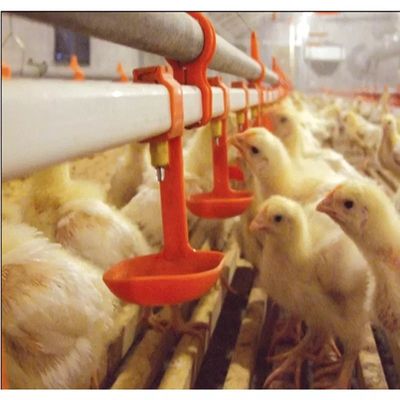 Bird Quail Chicken Nipple Drinker System 3 μήνες Εγγύηση