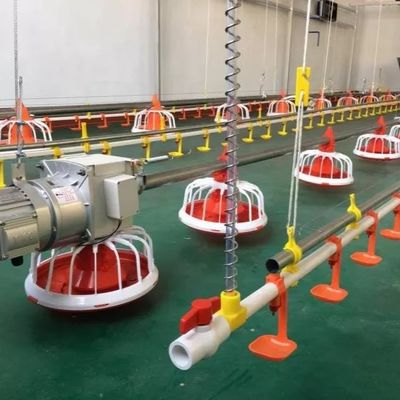 ΟΕΜ Εξοπλισμός Πτηνοτροφικής Φάρμας 30 KG Αυτόματος Τροφοδότης Πουλερικών για Κοτόπουλο κρεατοπαραγωγής
