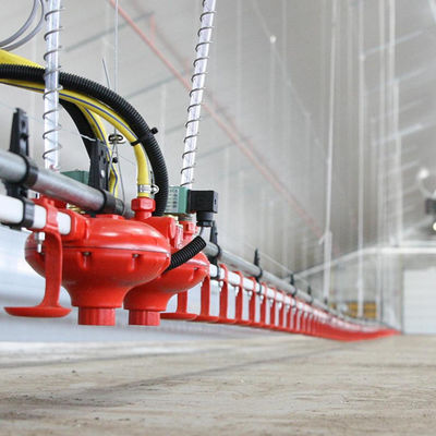 Πλαστικό υλικό τροφοδότης πουλερικών και πότης μακροχρόνιος χρόνος υπηρεσίας