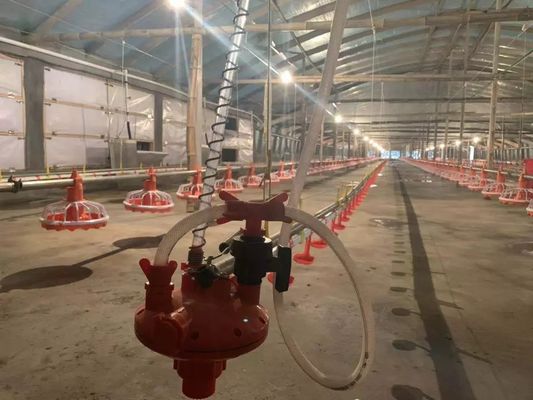 4 Pan/3m Εξοπλισμός τροφοδοσίας κοτόπουλου 380v 0,75kw με συσκευή οδήγησης